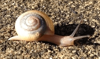 website speed is slow like snail